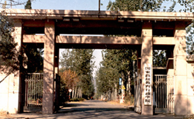 1991年